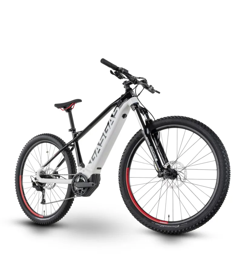 Gasgas G Cross Country 2.0 29er 2023 Electric Mountain Bike - White/Black-1